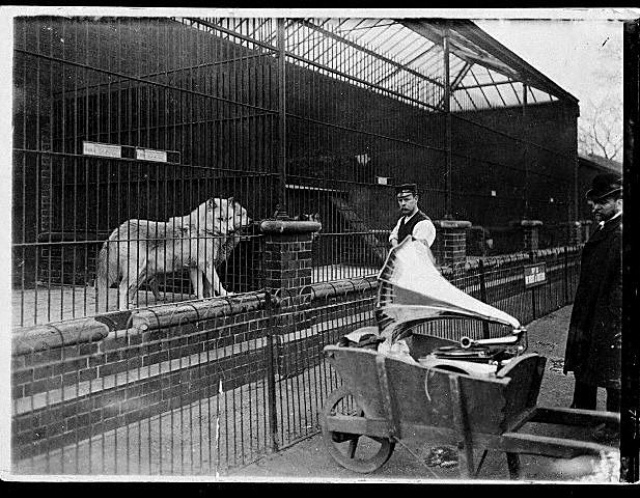 London Zoo, 1930s (3).jpg