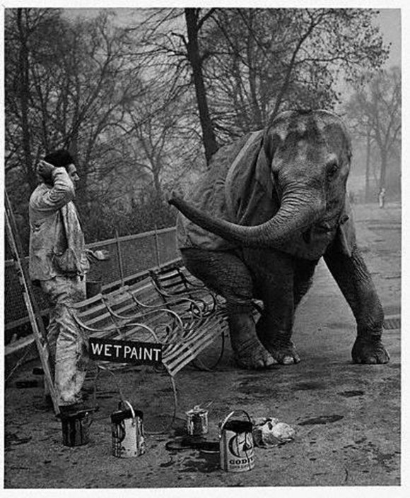 London Zoo, 1930s (8).jpg