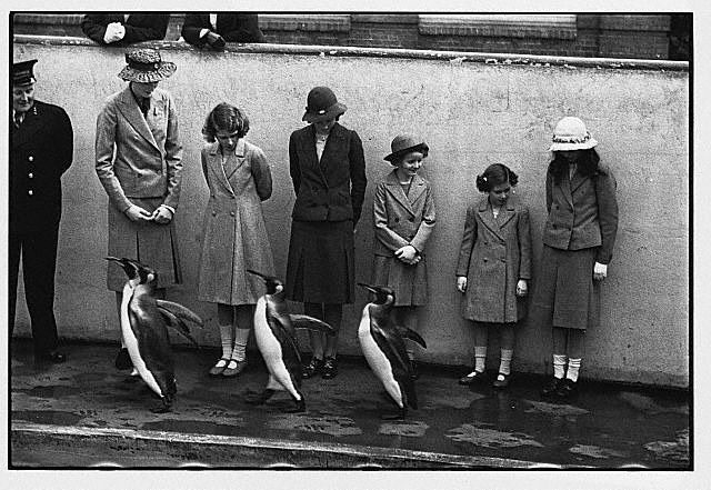 London Zoo, 1930s (14).jpg