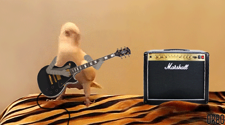 you-dont-need-a-reason-to-enjoy-birds-with-arms-15-gifs-11.gif