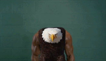 you-dont-need-a-reason-to-enjoy-birds-with-arms-15-gifs-4.gif