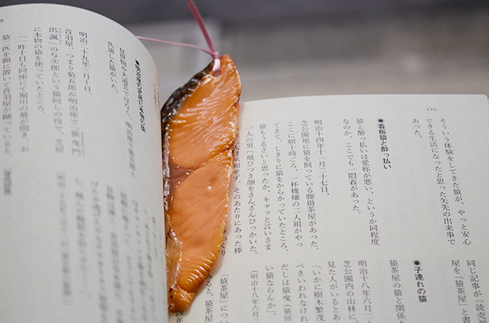 realistic-fake-food-bookmarks-tokyo-kitsch-japan-1.jpg
