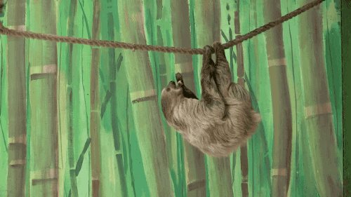 2016_10_28_11_00abload_de_img_d35d3e_orig_vikva[1].gif