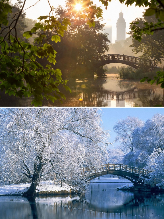 before-after-summer-winter-photography-changing-seasons-timelapse-11-576101bd2d41c__700[1].jpg