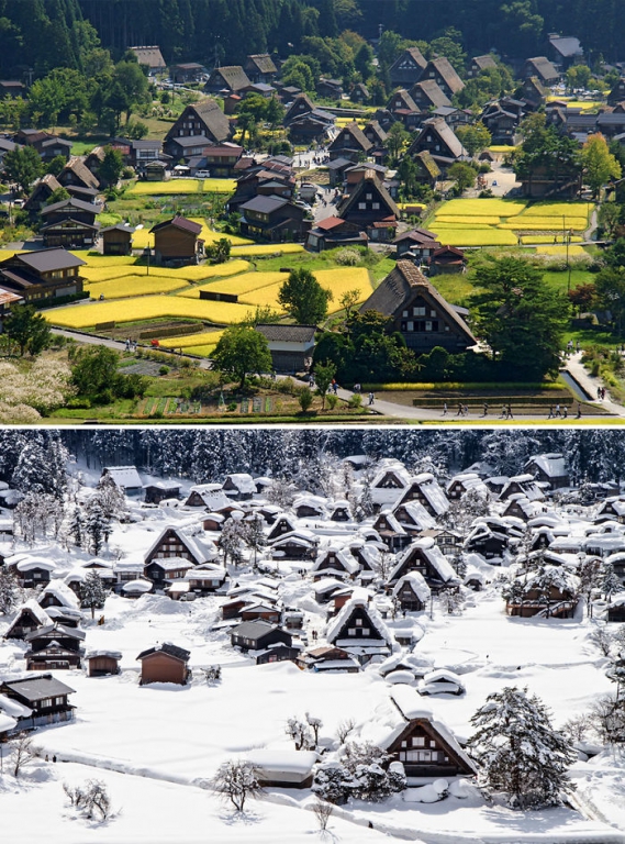 before-after-summer-winter-photography-changing-seasons-timelapse-5-576101aa250ad__700[1].jpg