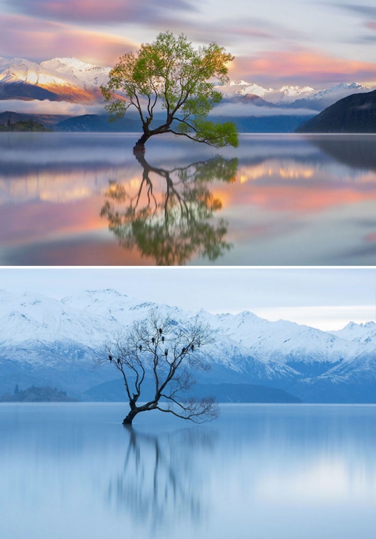 before-after-summer-winter-photography-changing-seasons-timelapse-15-5761274415cfc__700[1].jpg