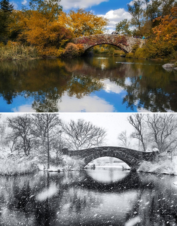 before-after-summer-winter-photography-changing-seasons-timelapse-101-58510f58dcf77__700[1].jpg