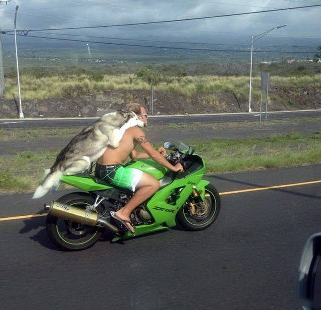 a_little_bit_of_car_humor_to_make_your_day_24[1].jpg