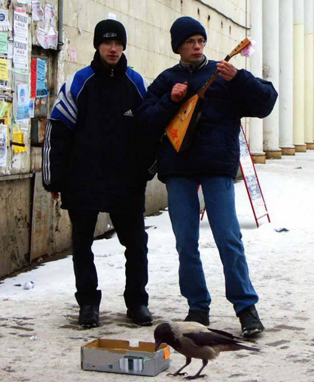 what_special_gene_do_russians_have_that_makes_them_do_this_stuff_15[1].jpg