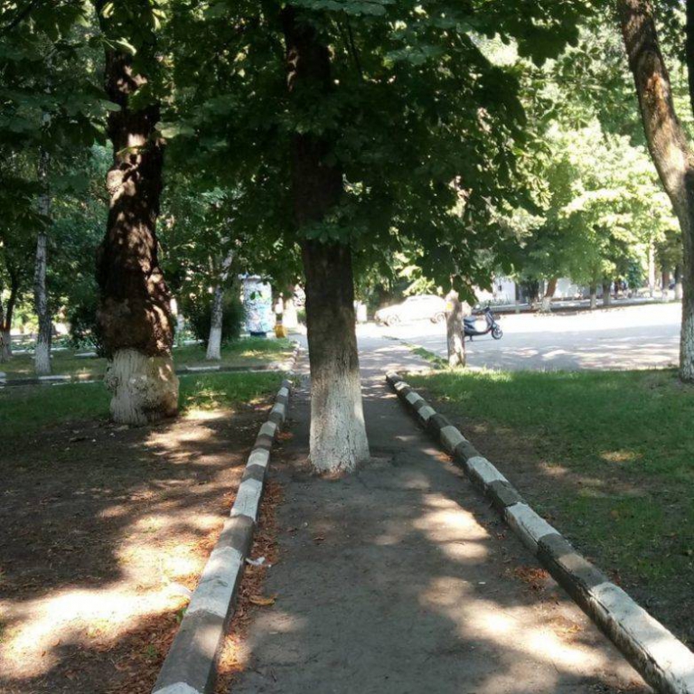 russia_the_motherland_of_the_weird_and_the_wtf_05[1].jpg