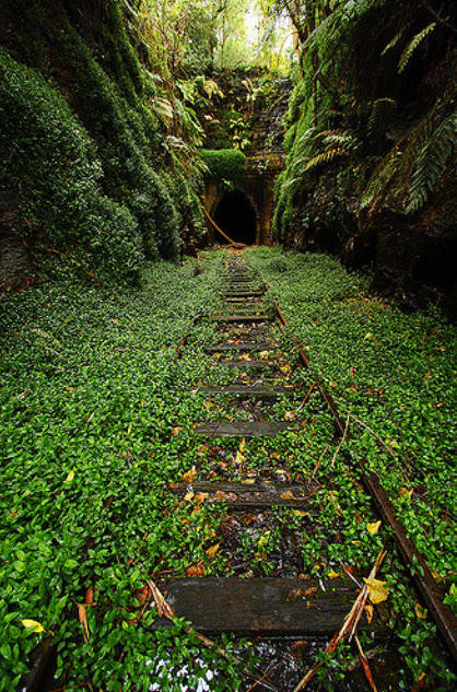 mother_nature_always_takes_whats_rightfully_hers_01[1].jpg