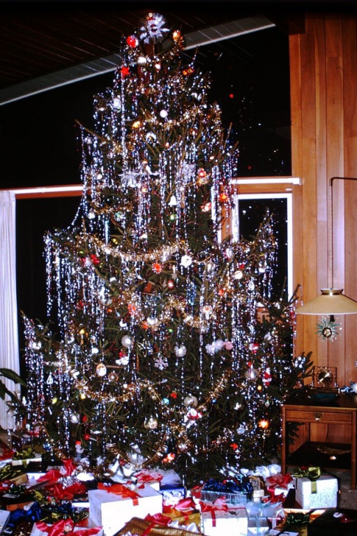 vintage-christmas-trees-13.jpg