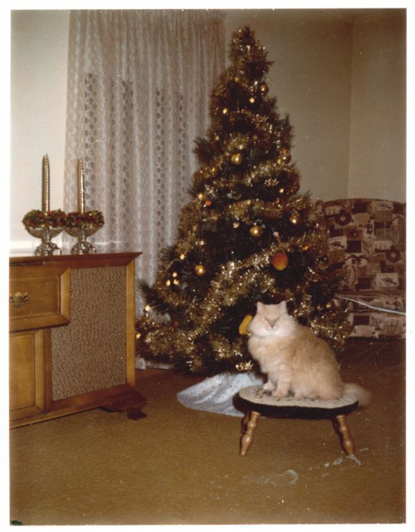 vintage-christmas-trees-5.jpg