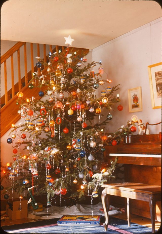 vintage-christmas-trees-8.jpg