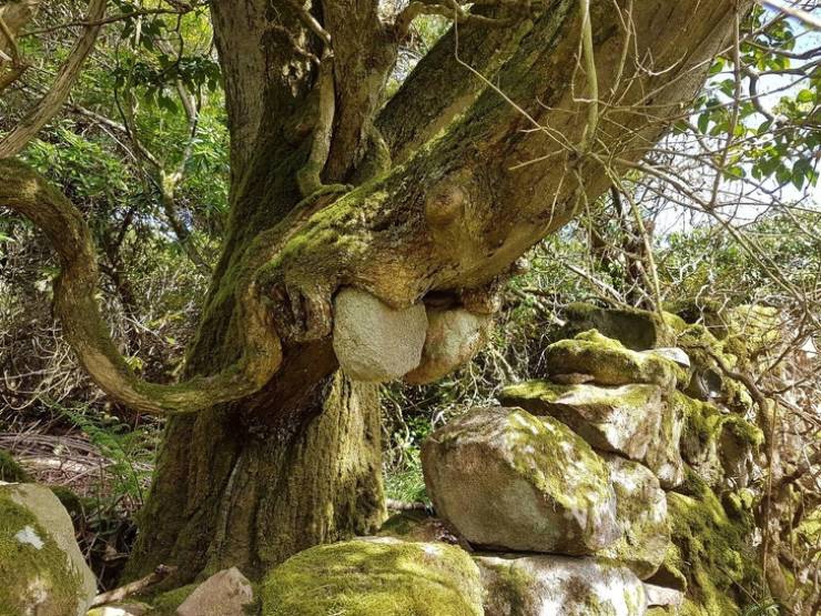 pics_that_are_so_poignant_and_fascinating_640_46[1].jpg