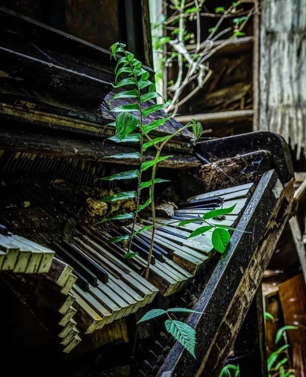abandoned_stuff_that_still_looks_cool_640_high_09.jpg