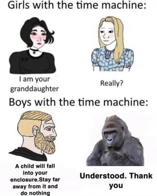 For-our-lord-and-savior-Harambe.jpg