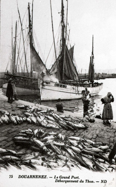 1900s-french-maritime-life-13.jpg