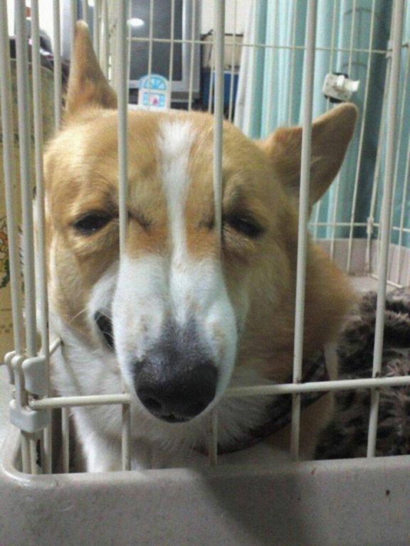 dont_even_try_to_explain_these_animal_photos-49[1].jpg