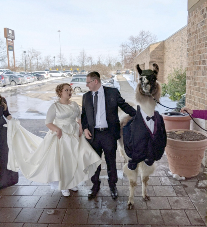 CATERS_LLAMA_GOES_TO_SISTER’S_WEDDING_-001_3352694-1-1-scaled.jpg