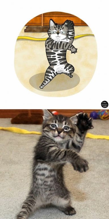Artist-redraws-kitten-memes-in-a-fun-and-adorable-way-15.jpg