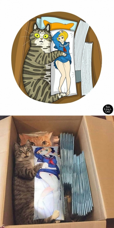 Artist-redraws-kitten-memes-in-a-fun-and-adorable-way-17.jpg