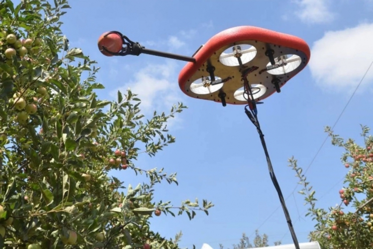 Подробнее о "Израильская компания Tevel Aerobotics разработала автономные дроны для сбора садовых фруктов"
