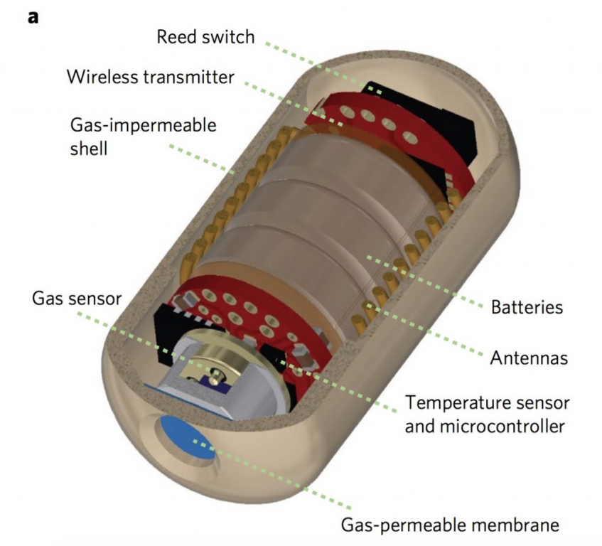 pill-diagram-1024x929.jpg