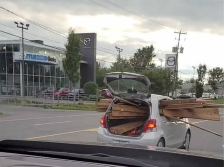 they_should_never_be_allowed_to_drive_again-3[1].jpg