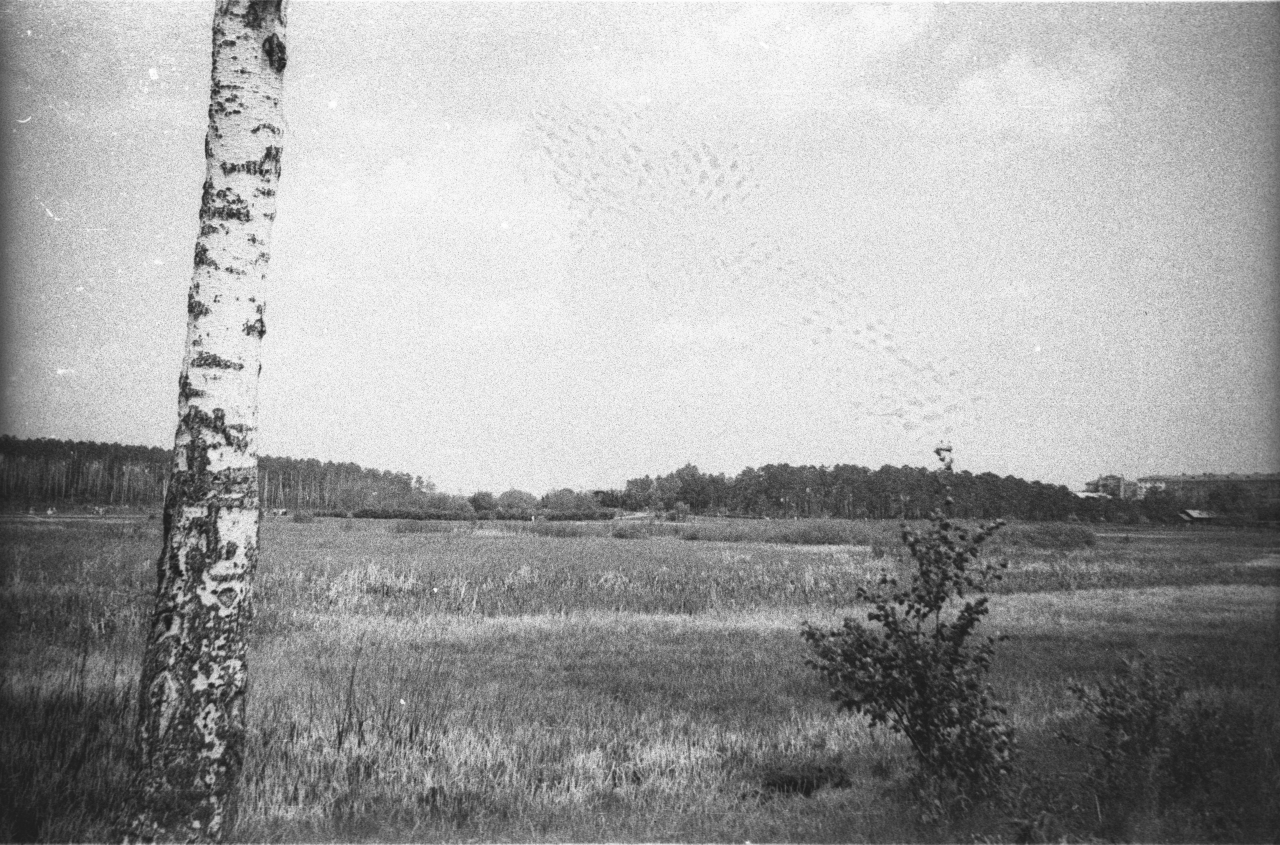 1657256 Вид на парк Покровское-Стрешнево со стороны Рижской железной дороги.jpg