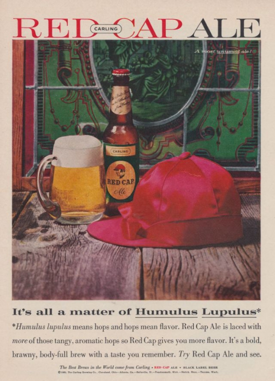 beer-advertising-posters-25.jpeg