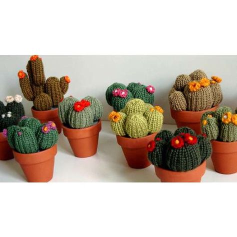 031b856b64e1b75c47747062cbb0f5e1--crochet-cactus-knit-croche.jpg