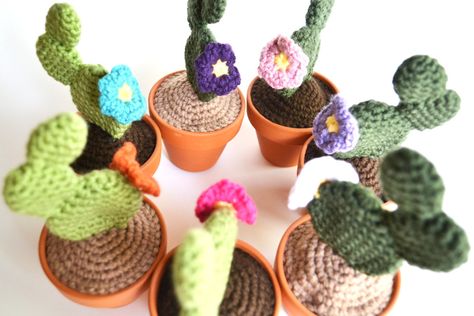 29c077b3df362a9de89e97bdee678a28--crochet-cactus-crochet-flo.jpg