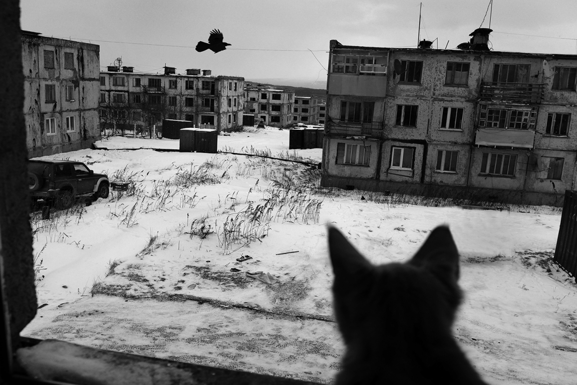Russia-city-building-cat-monochrome-depressing-1401339[1].jpg