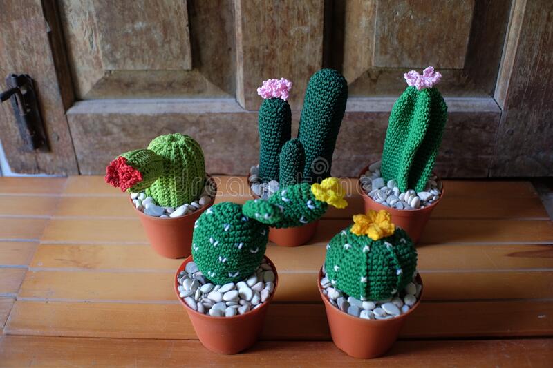 small-ornamental-cactus-plants-made-knitting-yarn-cute-can-b.jpg