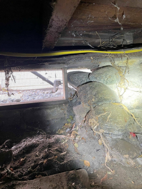 horrors_found_during_structural_inspections_640_high_42[1].jpg