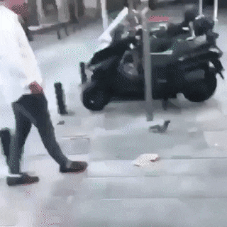 2023_03_26_16_03img_izismile_com_img_img14_20211028_gifs_daily_gifdump_3689_10[1].gif