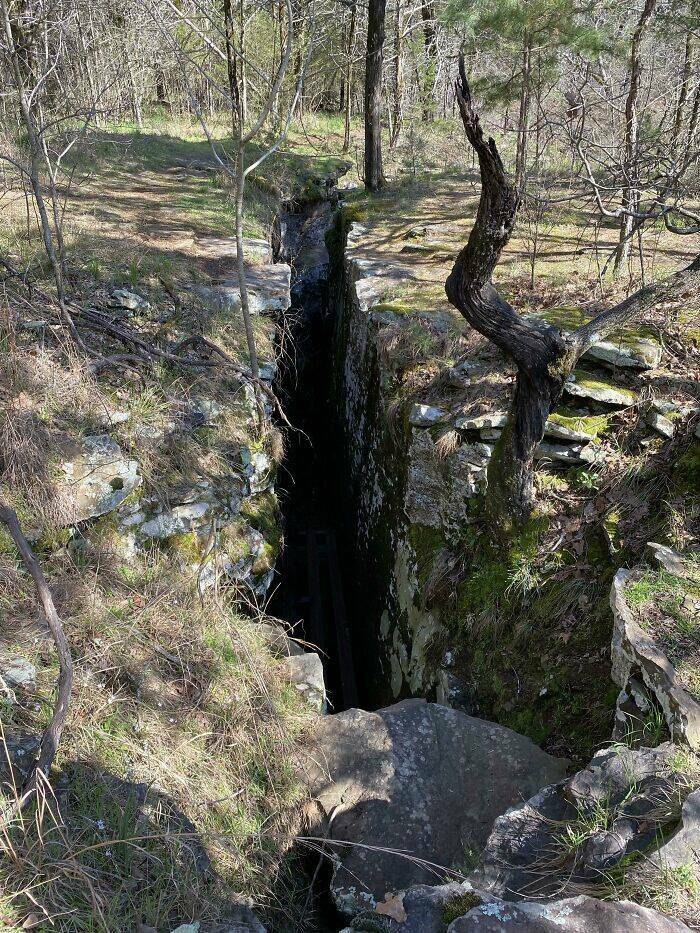 natures_dark_side_terrifying_and_creepy_images_that_will_haunt_your_dreams_640_high_23[1].jpg