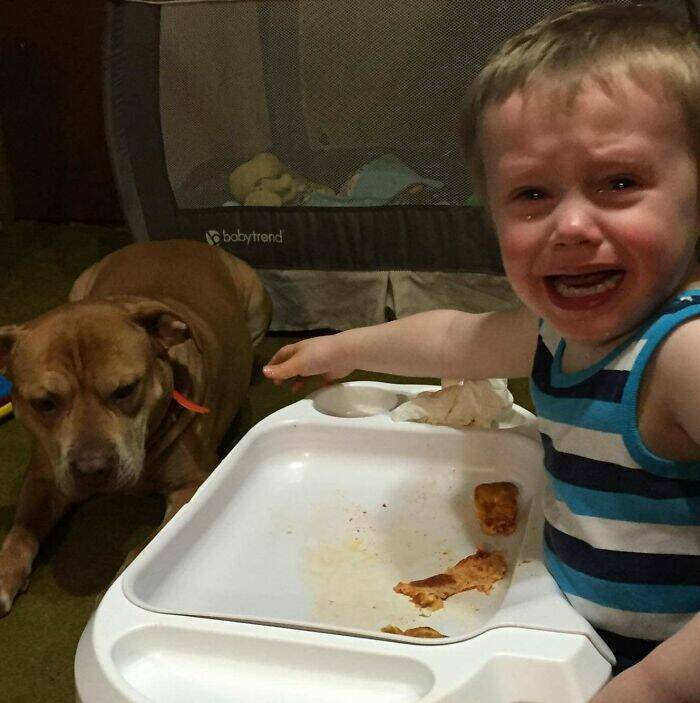 toddlers_tantrums_and_tears_humorous_tales_of_parenting_chaos_640_high_01.jpg