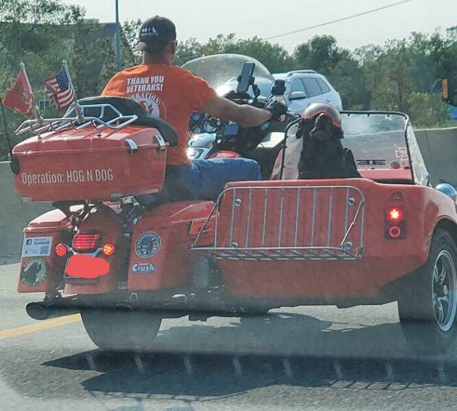 on_the_road_funny_weird_and_interesting_sightings_that_couldnt_be_ignored_640_26[1].jpg