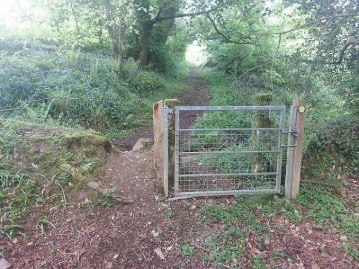 the_way_people_really_walk_desire_paths_and_urban_planning_failures_640_06[1].jpg