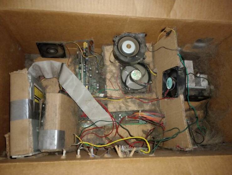 tech_support_nightmares_unbelievable_cases_that_stumped_experts_640_13[1].jpg