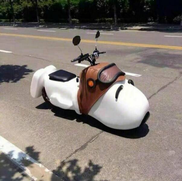 unusual_finds_to_bring_a_smile_to_your_face-2.jpg