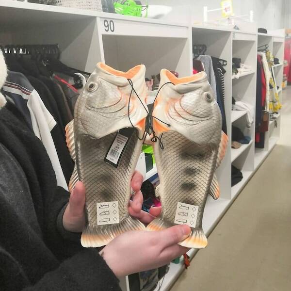 unbelievable_finds_from_thrift_store_adventures_640_37[1].jpg