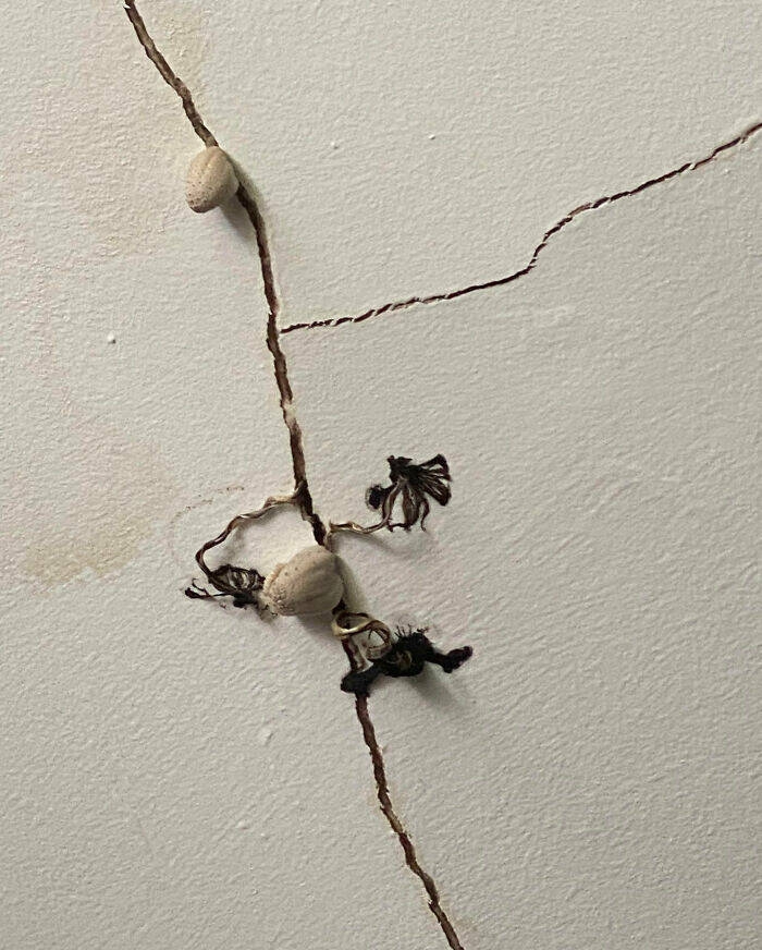 home_fixes_that_didnt_go_as_planned_640_high_03[1].jpg