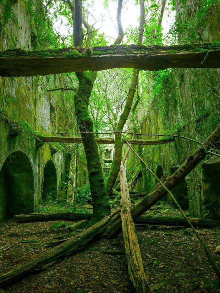 beautiful_examples_of_nature_reclaiming_space_640_high_17[1].jpg