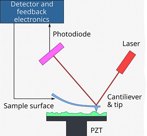 Atomic-Force-Microscope-dia.jpg