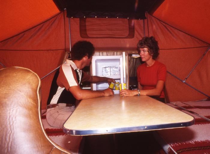 neobychnyj-retrofuturisticheskij-kemper-phoenix-van-2.jpg