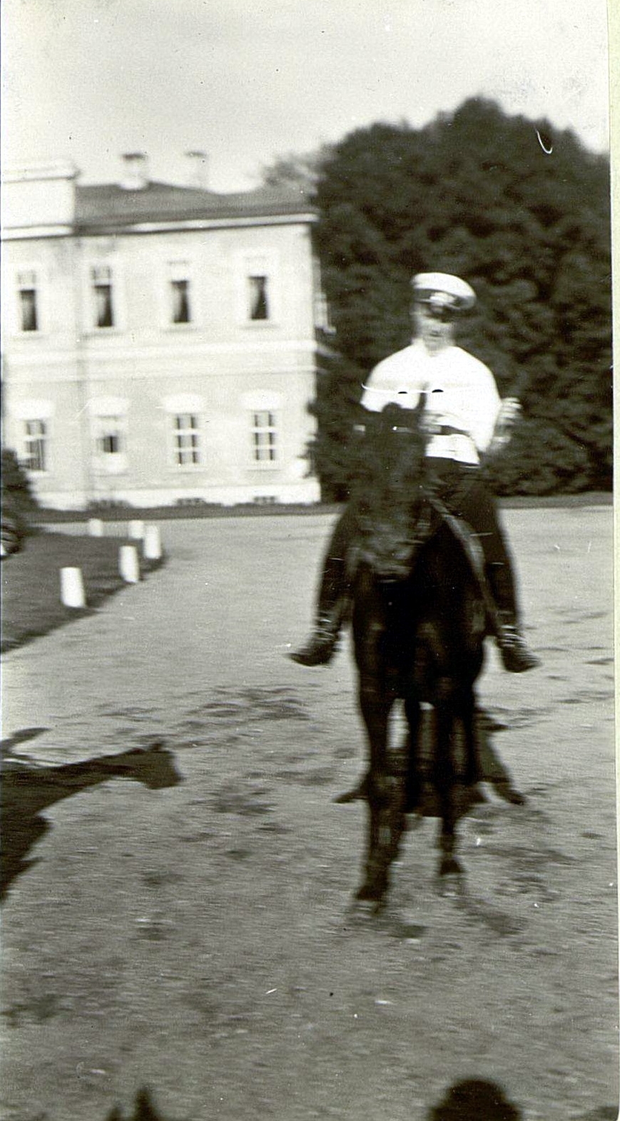 71053107_original.jpg 71053107_original.jpg