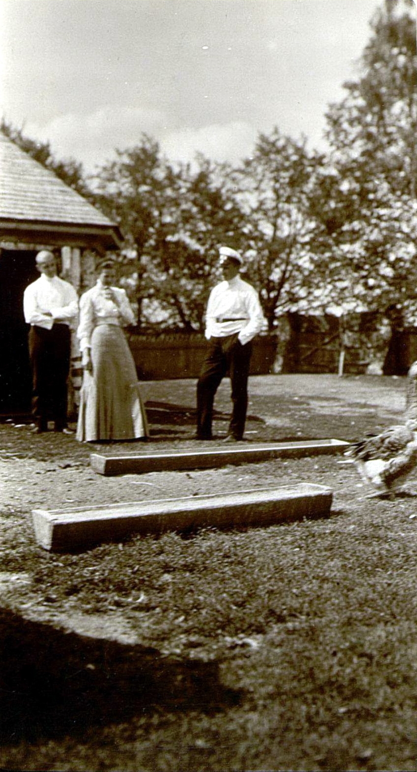 71054084_original.jpg 71054084_original.jpg